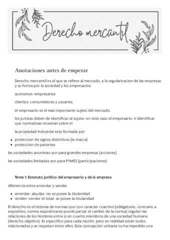 Derecho-mercantil202405101839300000.pdf