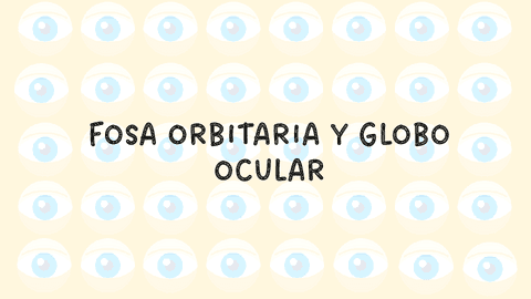 FOSA-ORBITARIA-Y-GLOBO-OCULAR.pdf