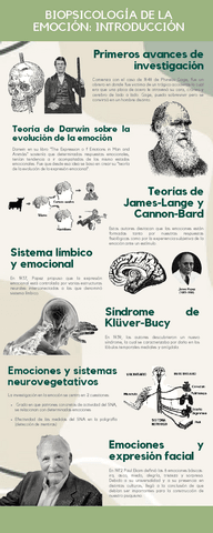 Infografias-Biopsicologia-de-la-emocion.pdf