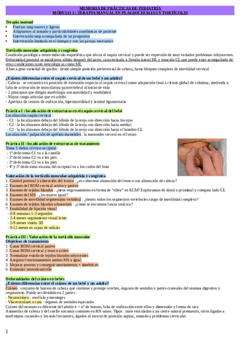 MEMORIA-DE-PRACTICAS.pdf