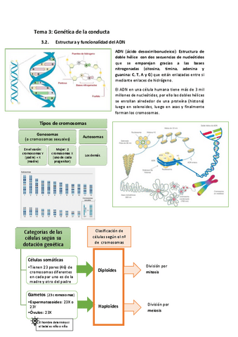 Tema-3.-Genetica-de-la-conducta.pdf