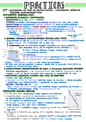 BBM-Resumen-para-examen-Practicas-A4.pdf