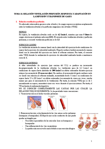 TEMA-11-RELACION-VENTILACION-PERFUSION.pdf