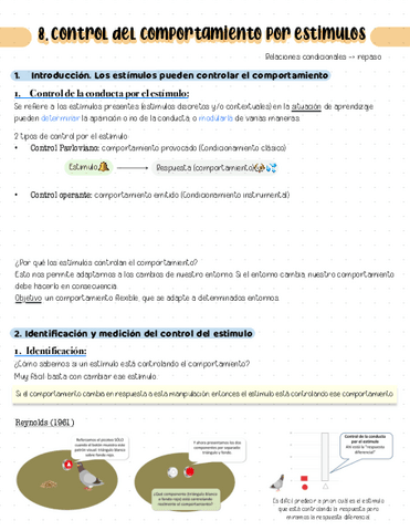 Tema-8.pdf