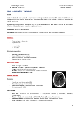 Tema 11 - Meningitis y encefalitis.pdf