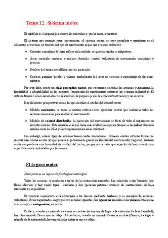 Tema-12.-Sistema-motor.pdf