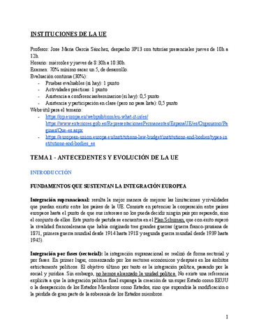 Copia-de-INSTITUCIONES-DE-LA-UE.pdf