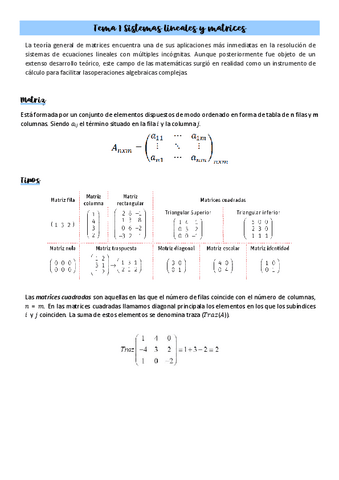 Tema-1-Sistemas-lineales-y-matrices.pdf