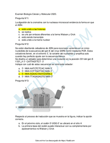 Examen-Biologia-Celular-y-Molecular.pdf