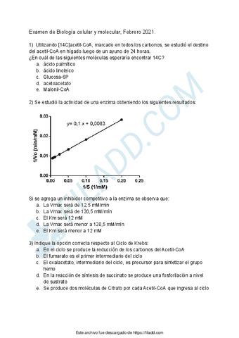 Examen-Febrero-2021.pdf