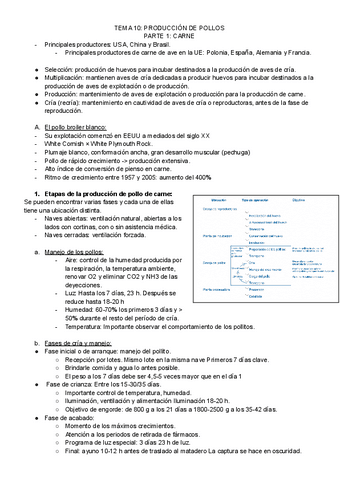 TEMA-10.pdf