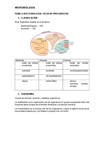 tema-2-micro.pdf