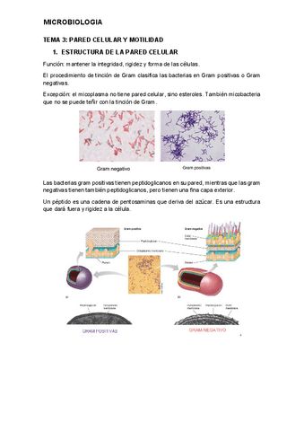 tema-3-micro.pdf