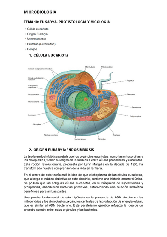 tema-10-micro.pdf