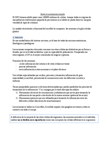 Tema-3.-La-neurona-y-la-glia.pdf