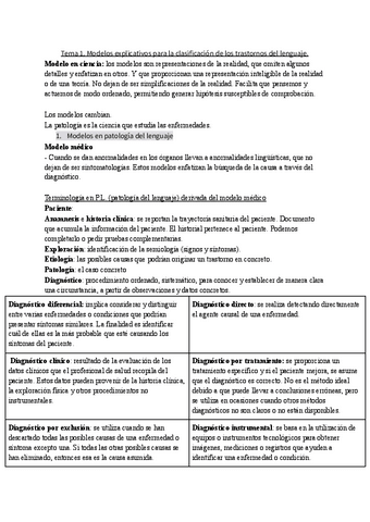 Tema-1.-Modelos-explicativos-para-la-clasificacion-de-los-trastornos-del-lenguaje..pdf