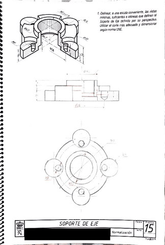 Tecnico-de-normalizacion-11.pdf
