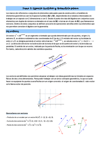 Tema-3-Espacio-Euclideo-y-Geometria-plana.pdf