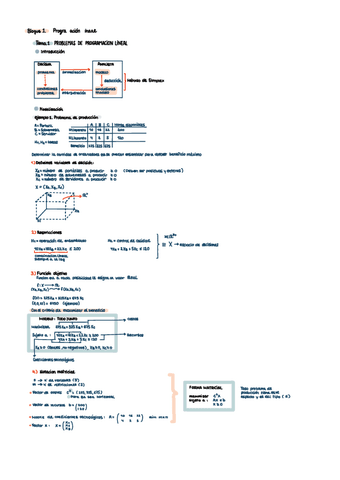 Tema-1.-Programacion-lineal-VRN.pdf