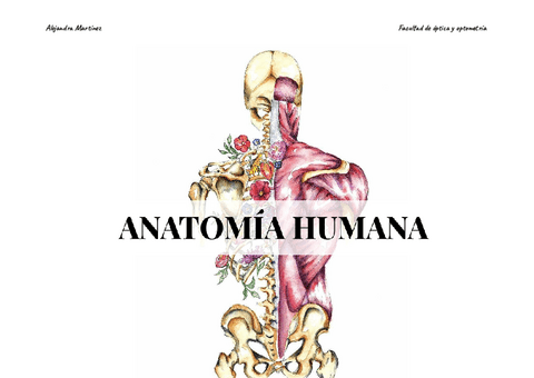 Examen Practico Anatomia Pdf