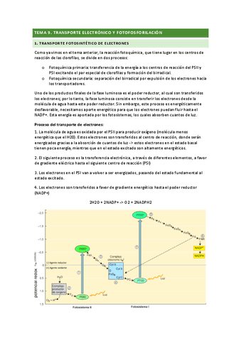 tema-9.pdf