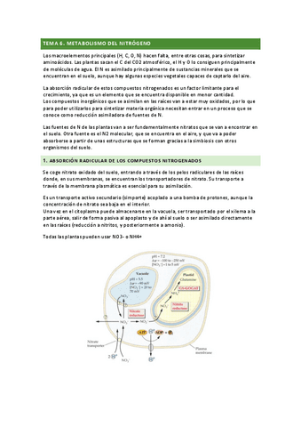 tema-6.pdf