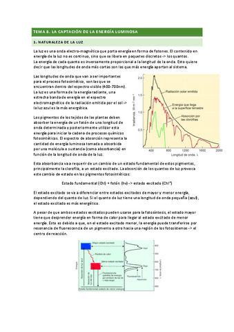tema-8.pdf