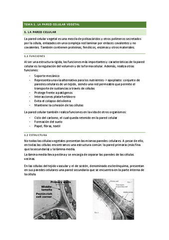 tema-1.pdf