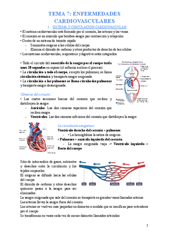 TEMA-6-SALUD.pdf