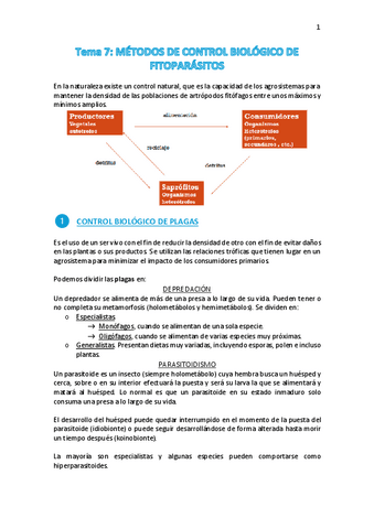 Tema-7.pdf