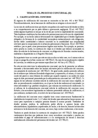 TEMA-23.pdf