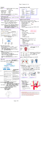 Tema-3.-Trastornos-de-le-voz.pdf