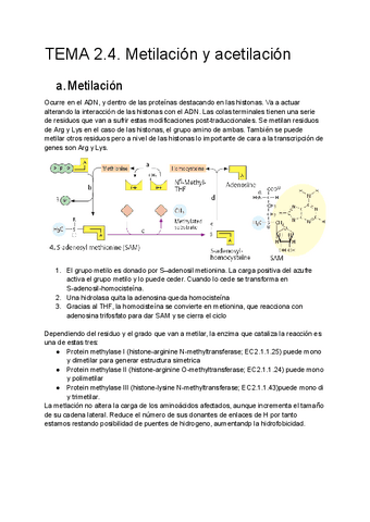 QIP-2.4- Metilación y acetilación.pdf
