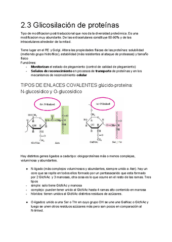 QIP-2.3.-Glicosilación de las proteínas.pdf