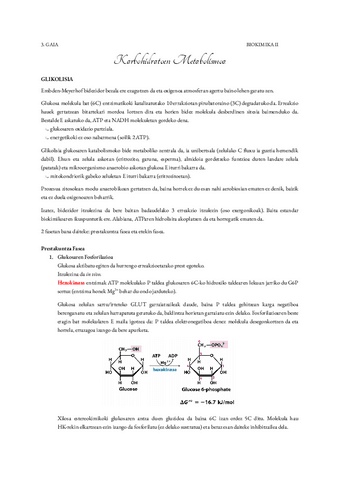 Karbohidratoen-Metabolismoa.pdf