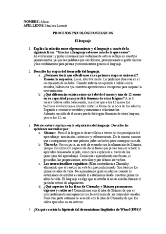 PROCESOSPSICOLOGICOSBASICOS.lenguaje-1.doc.pdf