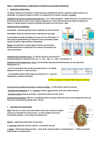 TEMA-7-FISIOLOGIA.pdf