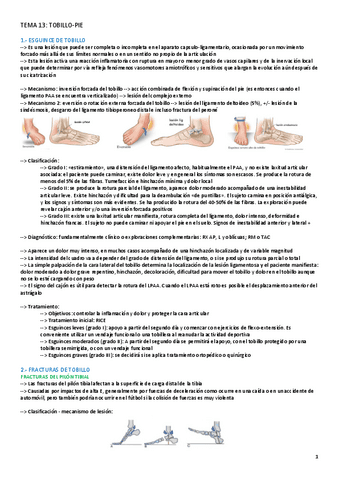 TEMA-13-AFECCIONES.pdf