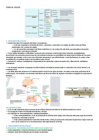 TEMA-26-AFECCIONES.pdf