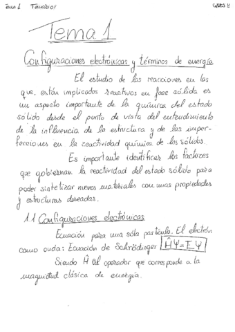 T 1 APUNTES Y SEMINARIO.pdf