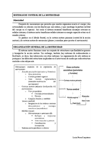 TEMA-2.-DESARROLLO-NEUROMOTOR-Y-PARALISIS-CEREBRAL-INFANTIL.pdf