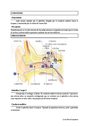 TEMA-4.-BASES-NEUROBIOLOGICAS-DEL-DESARROLLO-LINGUISTICO.-CLASIFICACION-DE-LOS-TRASTORONOS-DEL-LENGUAJE.-TEL-Y-AFASIAS.pdf