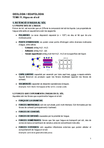 TEMA 11. Aigua en e sòl.pdf