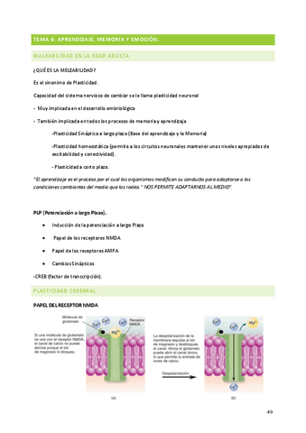 TEMA-6-BIOLOGIA.pdf