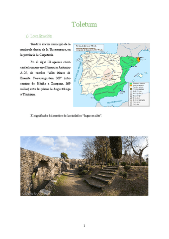 TOLETUM-1.pdf