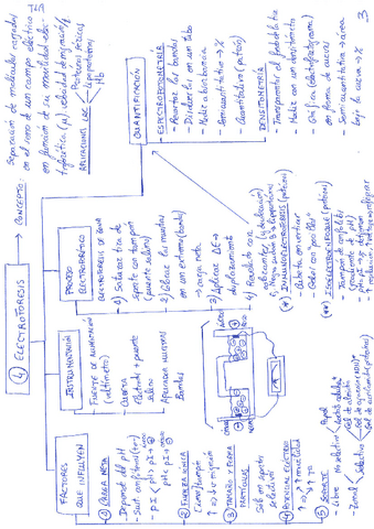 Esquemas-cromatografia-y-electroforesis.pdf