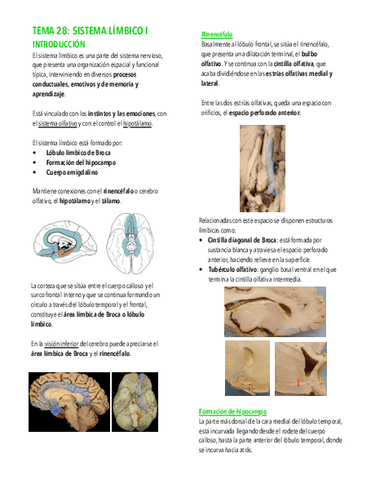 Tema-28.-Sistema-limbico-I.pdf