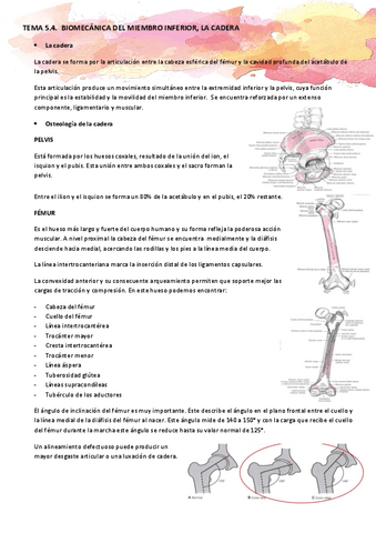TEMA-6.1.-Biomecanica-del-miembro-inferior-la-cadera.pdf