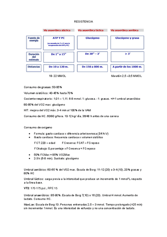 RESUMEN.pdf