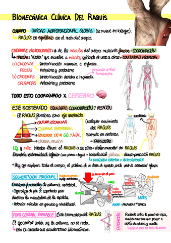 T1.-Biomecanica-clinica-del-raquis.pdf